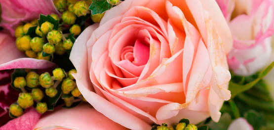 俄罗斯美女 俄罗斯美女